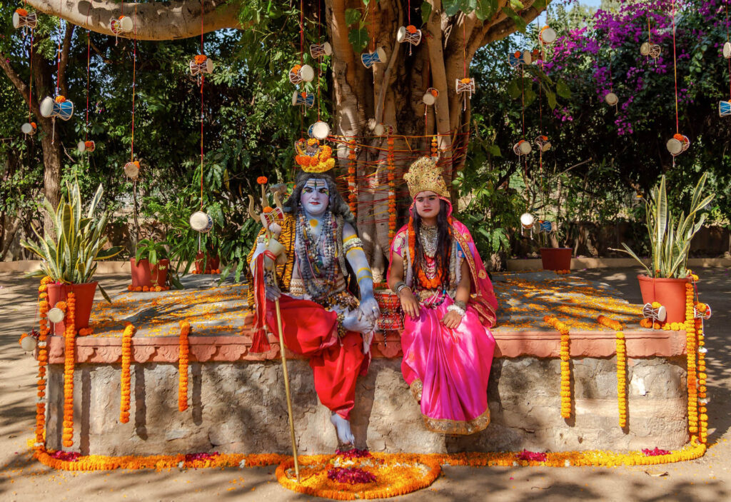 Dancing Peacock Bahuroopiya act